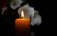 Richard Wilbur Obituary Death – A Life of Love and Legacy