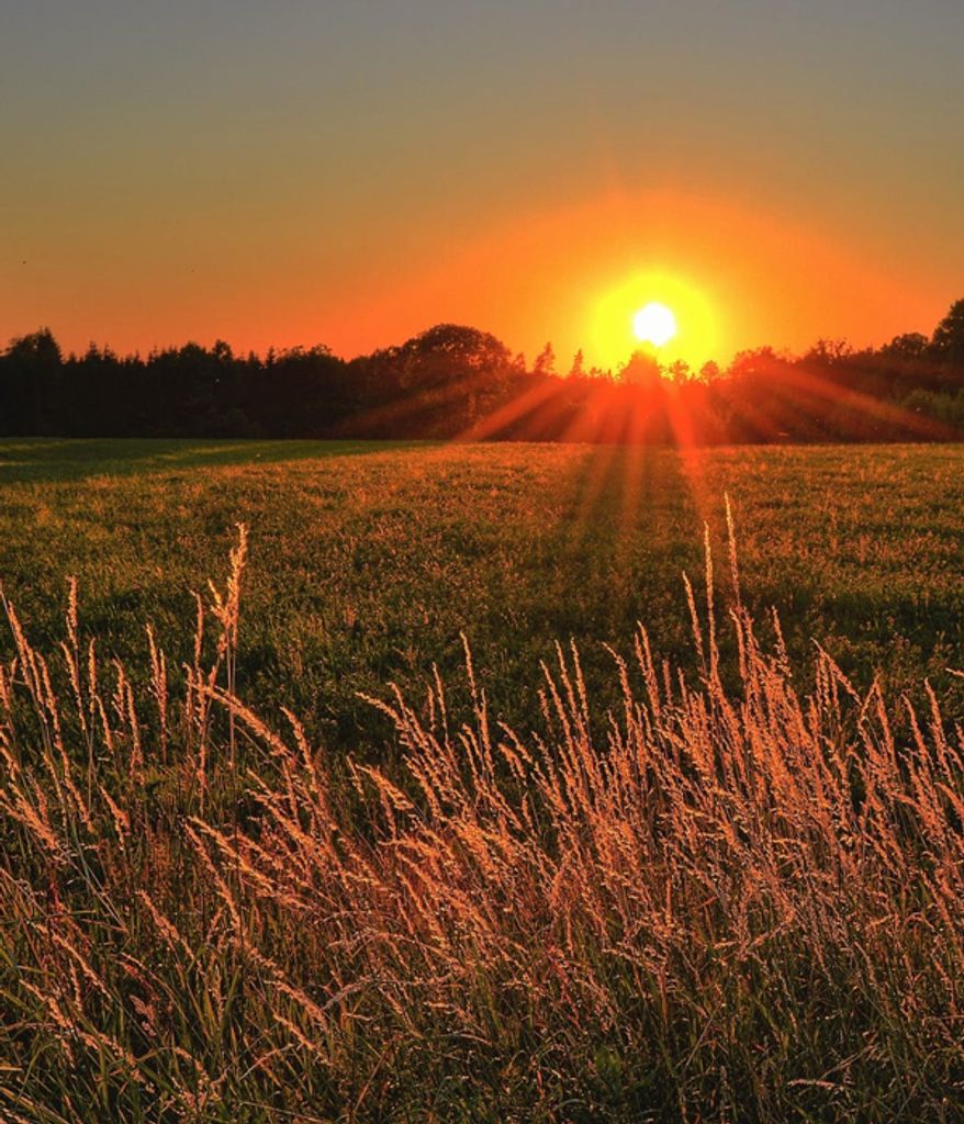 Cory Mozak Obituary Sioux City Iowa Death – Sioux City, Iowa Community Mourns Beloved Resident’s Passing